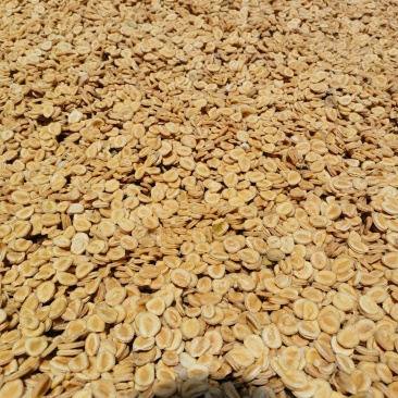 精品颗粒花茶料
