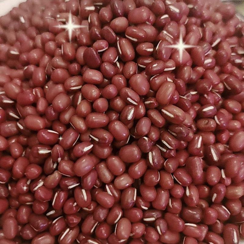 黑龙江红小豆批发