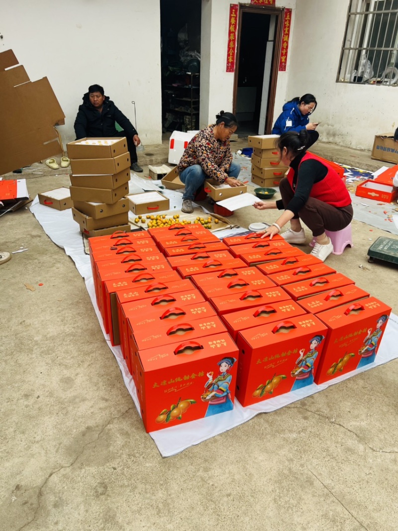 脆甜金橘，脆蜜、滑皮都大量有货