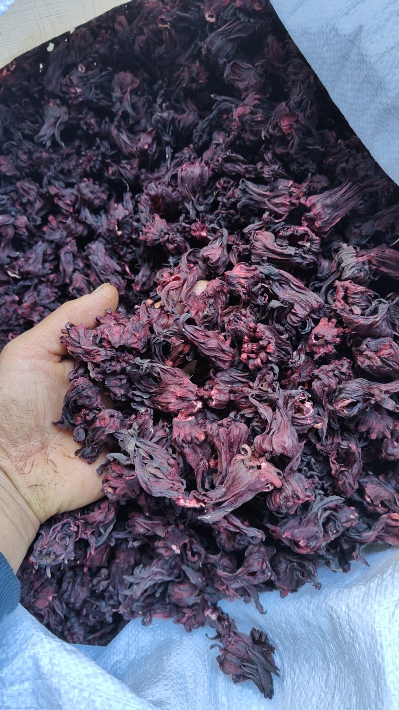 玫瑰茄