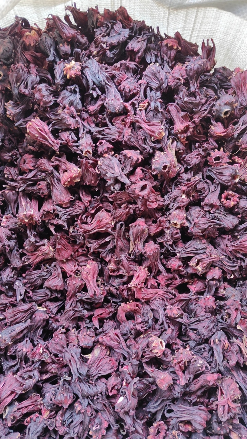 玫瑰茄