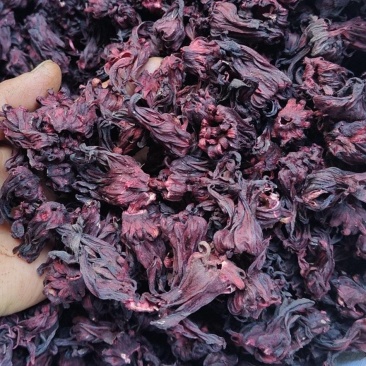 玫瑰茄