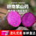 紫山药赣州市安远县产承接市场商超批发