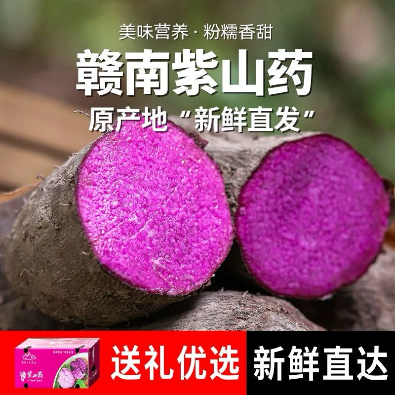 紫山药赣州市安远县产承接市场商超批发