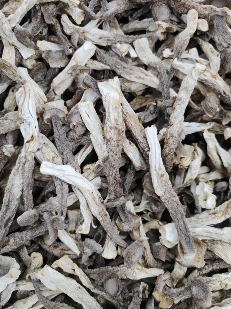 厂家直销精品鹿茸菇干货AAA货B货品质保障