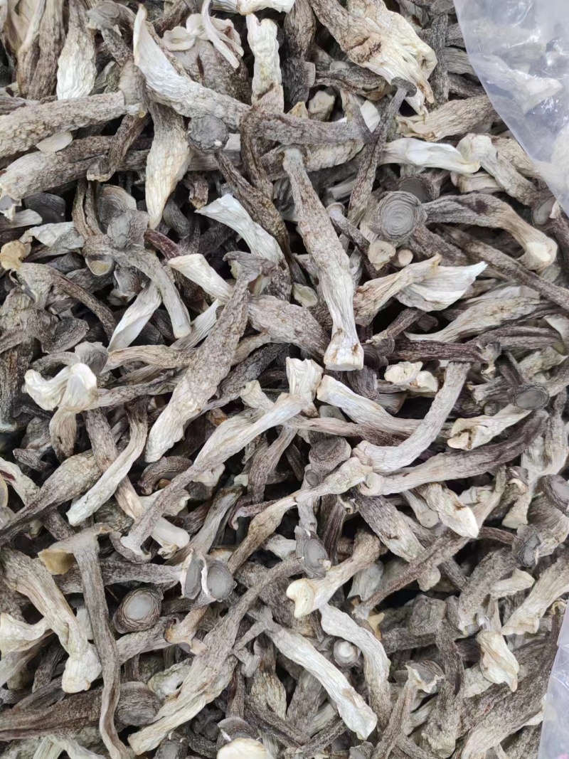 厂家直销精品鹿茸菇干货AAA货B货品质保障