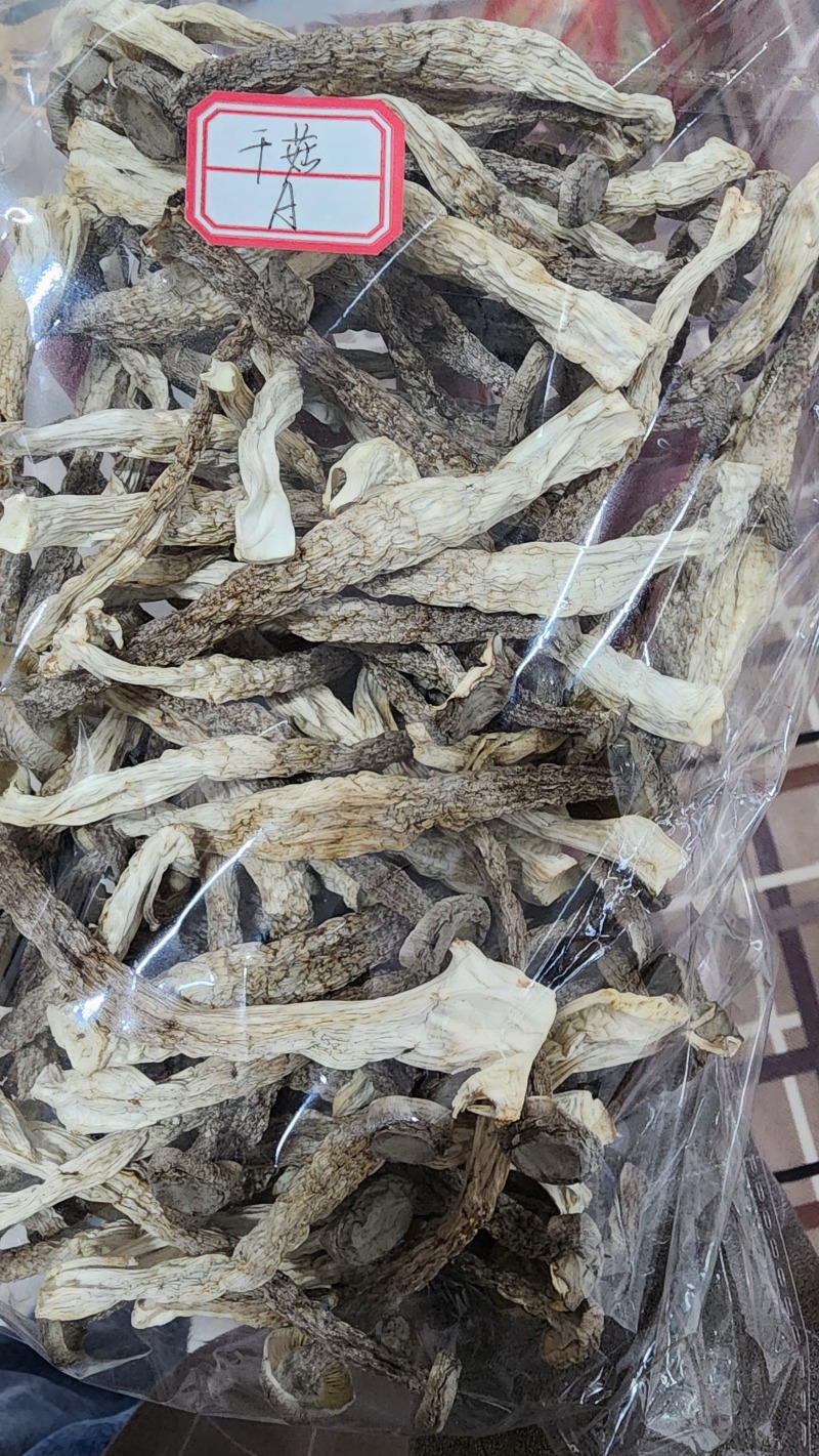 厂家直销精品鹿茸菇干货AAA货B货品质保障