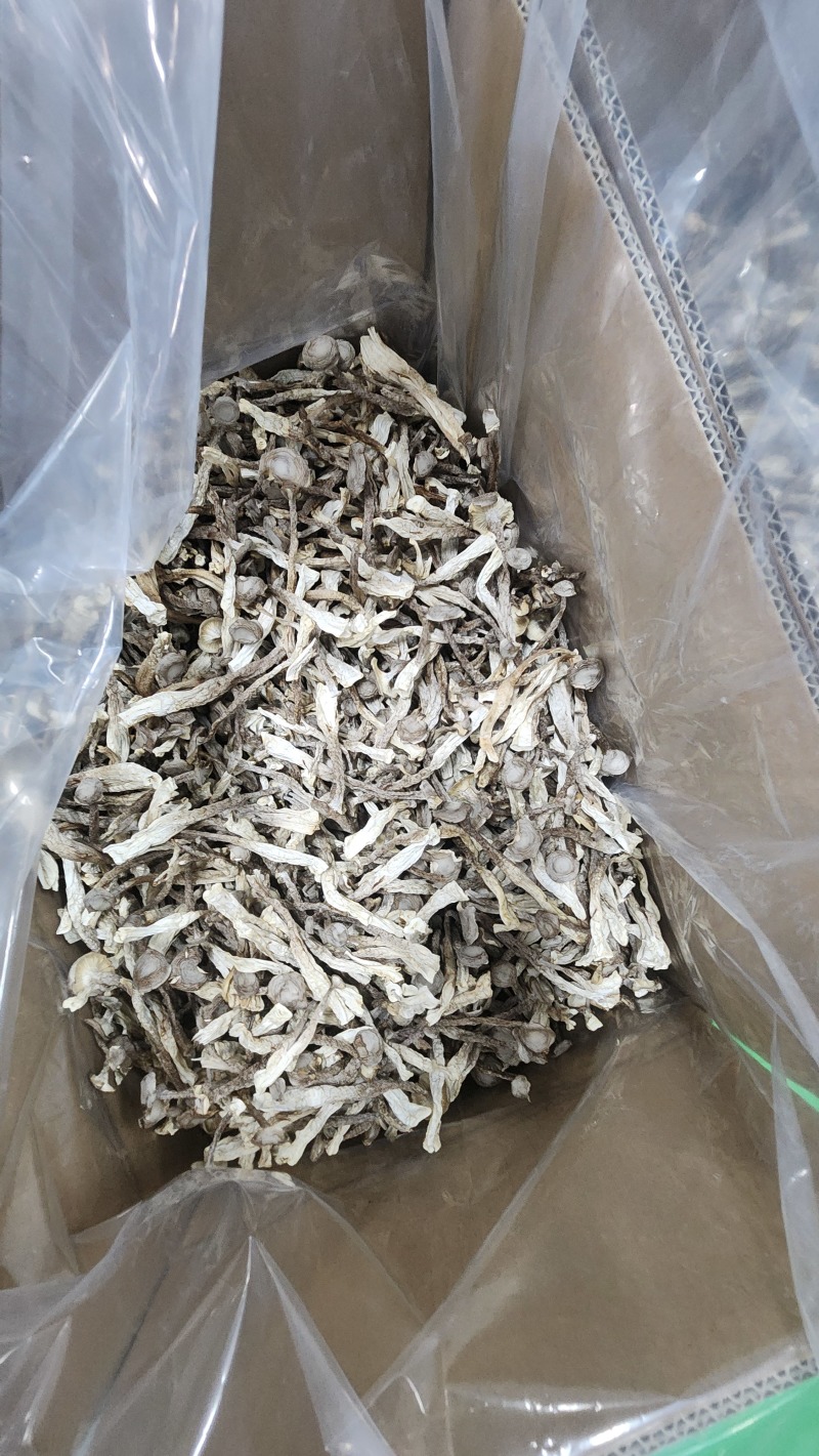 厂家直销精品鹿茸菇干货AAA货B货品质保障