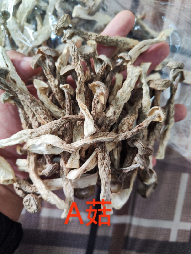 厂家直销精品鹿茸菇干货AAA货B货品质保障