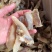 石斑鱼肉石斑鱼干干鱼