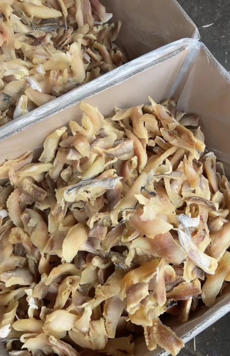 石斑鱼肉石斑鱼干干鱼