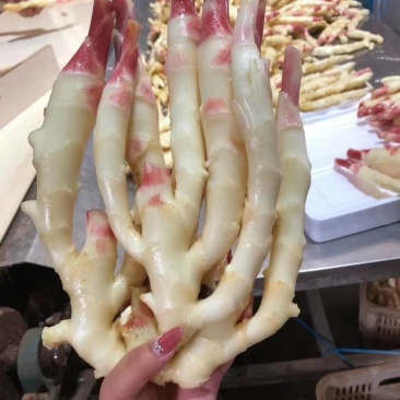 红牙仔姜大量有货，现挖现发，保证新鲜，全国发货