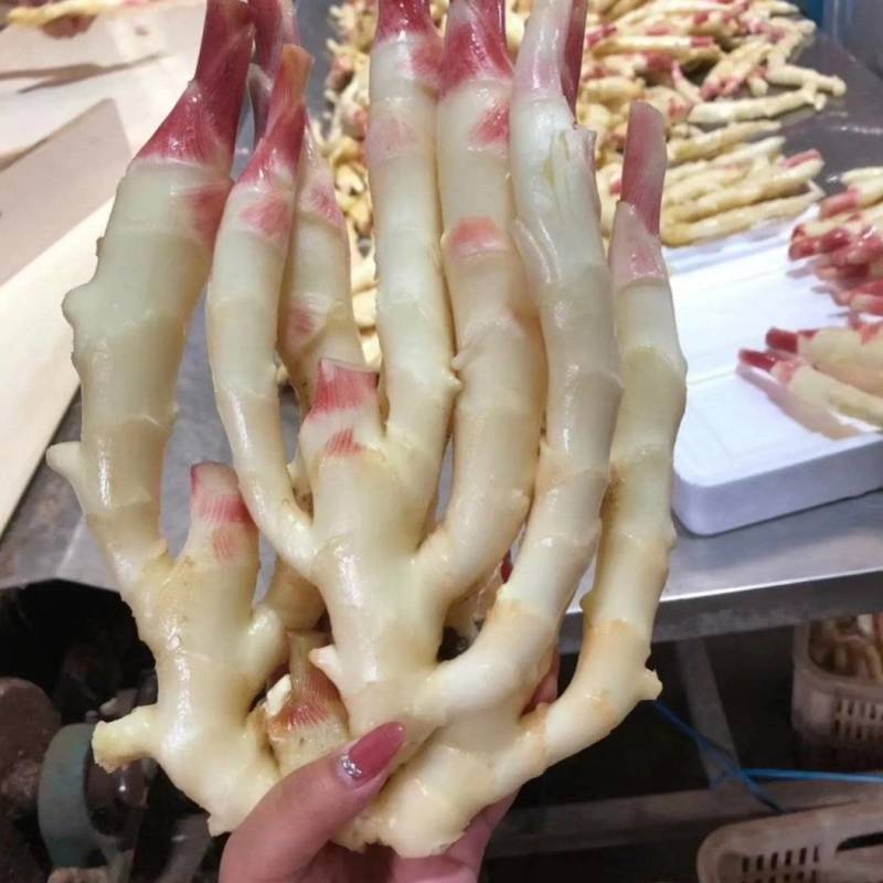 红牙仔姜大量有货，现挖现发，保证新鲜，全国发货