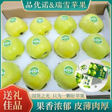 【一件代发】瑞雪苹果公司福利茉莉花香苹果高端国货之光