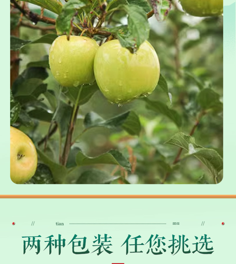 【一件代发】瑞雪苹果公司福利茉莉花香苹果高端国货之光