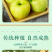 【一件代发】瑞雪苹果公司福利茉莉花香苹果高端国货之光