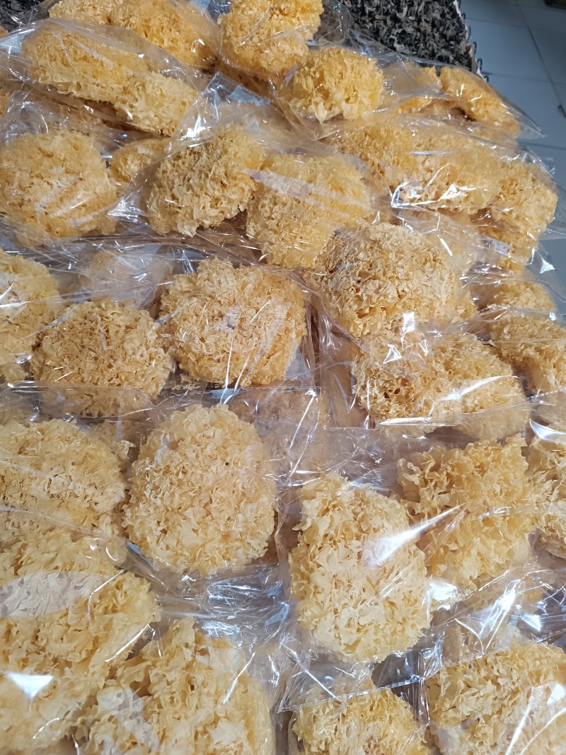 银耳干品，工厂基地智能出菇棚鲜品烘干品，大批量欢迎联系。