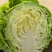 甘蓝市场货加工厂货食品厂都有