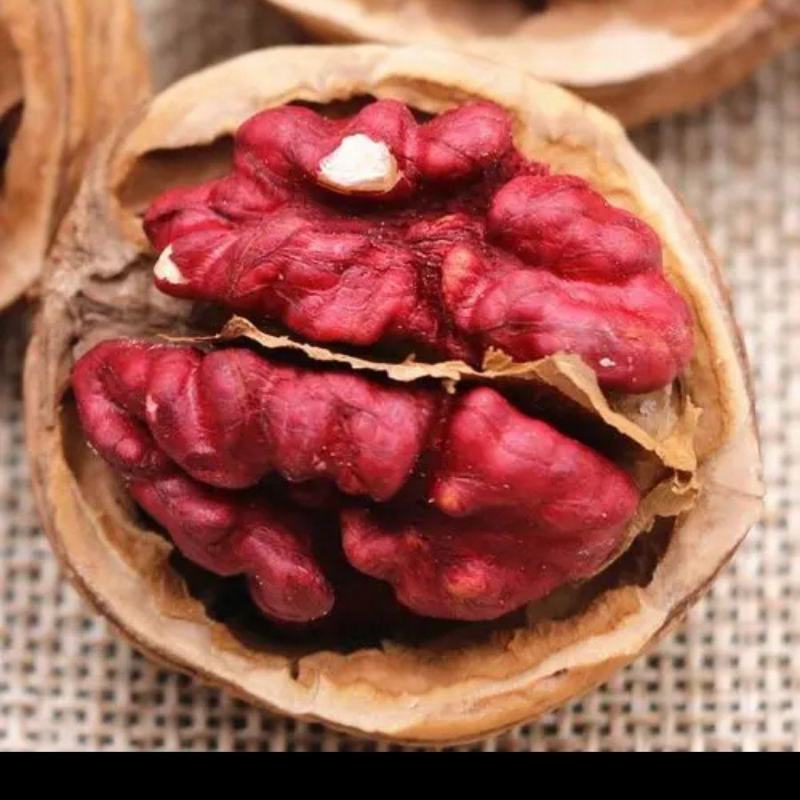 核桃苗，红仁核桃苗，红核桃苗，嫁接核桃树苗，核桃实生苗