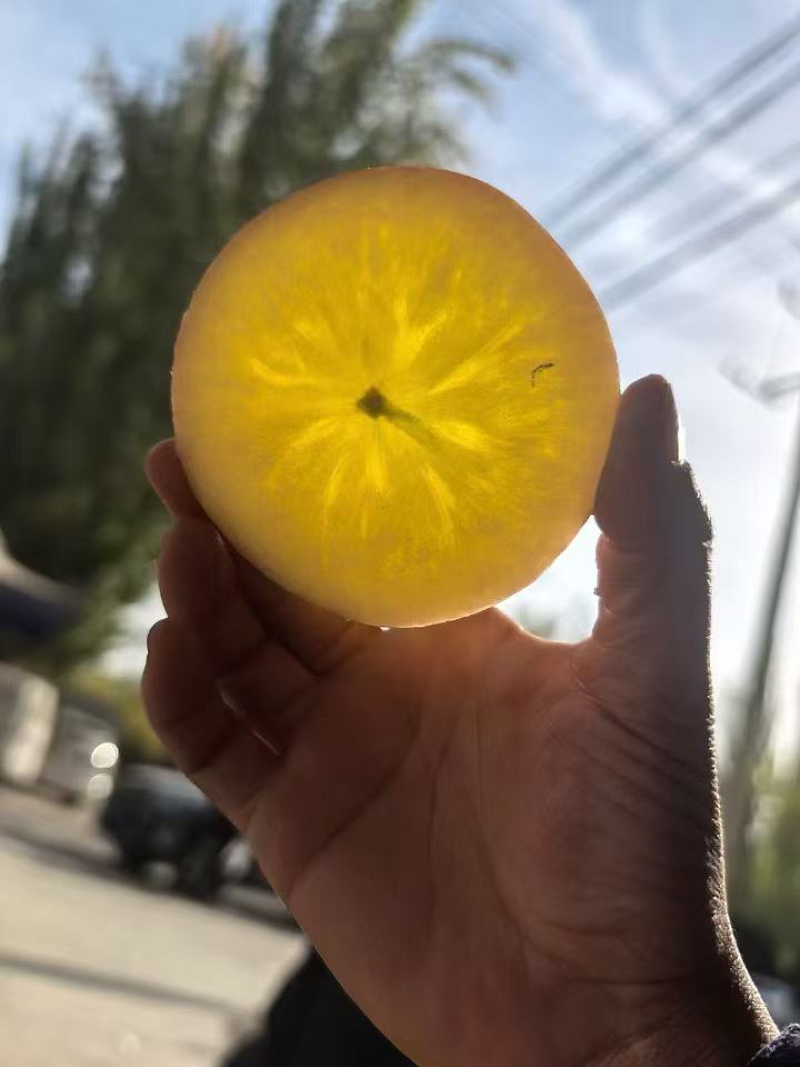 阿克苏冰糖心苹果光果糖心满满糖份足