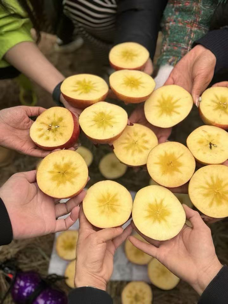阿克苏冰糖心苹果光果糖心满满糖份足