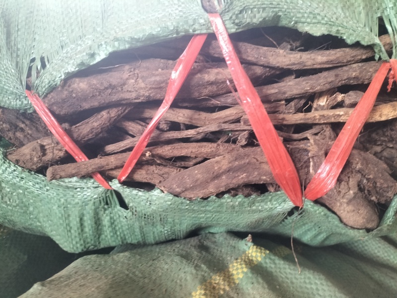 云南精品云木香新鲜中药材根茎基地直供一手货源