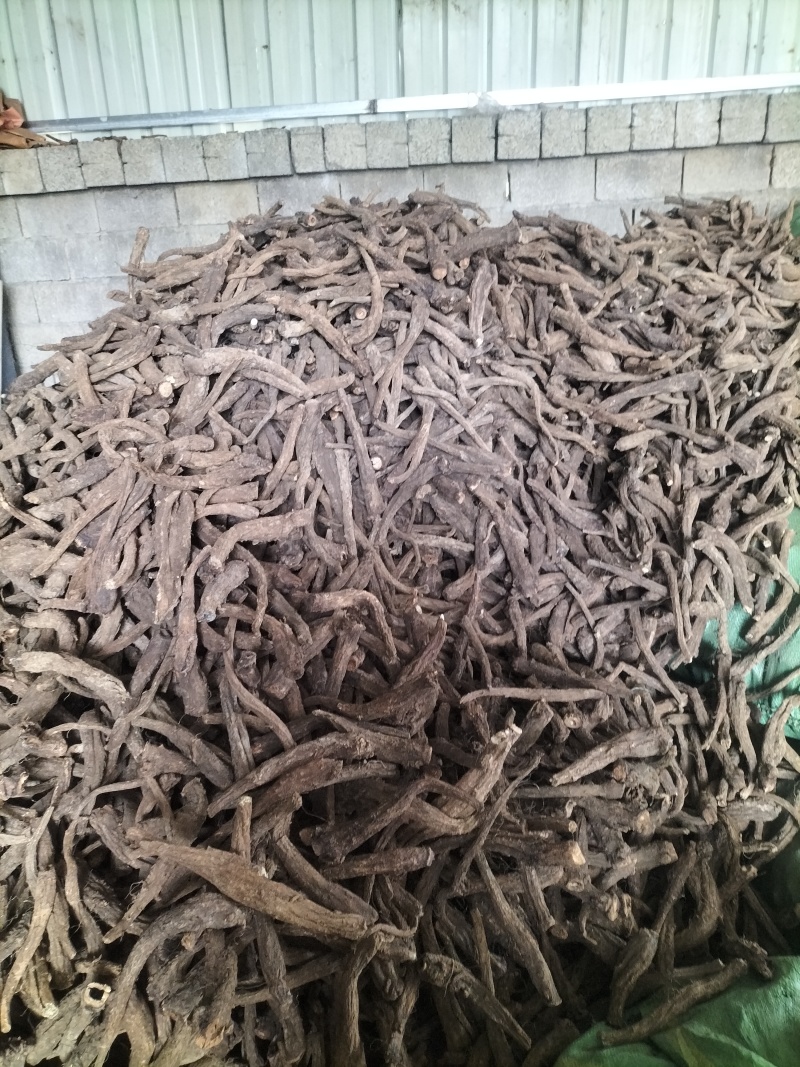 云南精品云木香新鲜中药材根茎基地直供一手货源