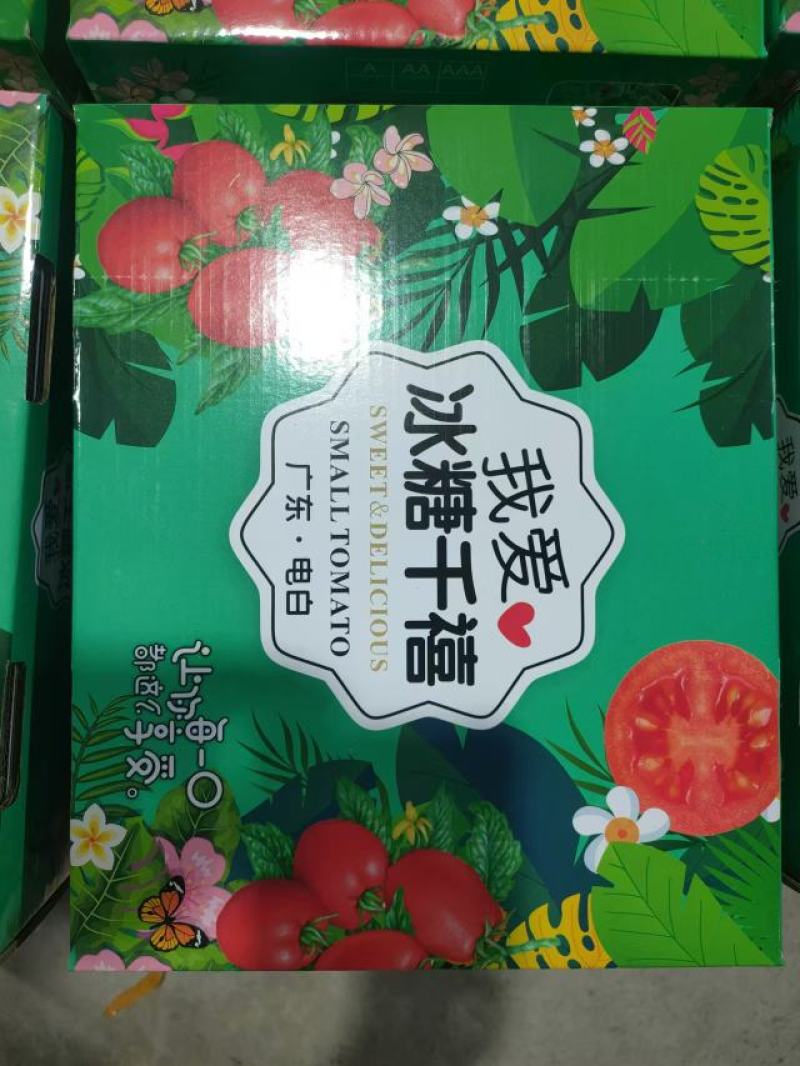 圣女果千禧果百亩种植基地货源充足品质保证可视频看货