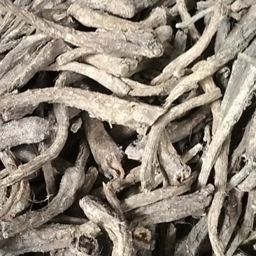 云南精品云木香新鲜中药材根茎基地直供一手货源