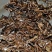 广西梧州六堡茶特产黑茶大量供应一手货源欢迎咨询