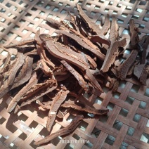 优质灵芝切片紫灵芝切片规格齐全产地直发欢迎咨询
