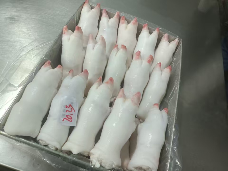 肥猪猪蹄猪手一级带劲猪蹄干净无毛颜色白净可长期供应