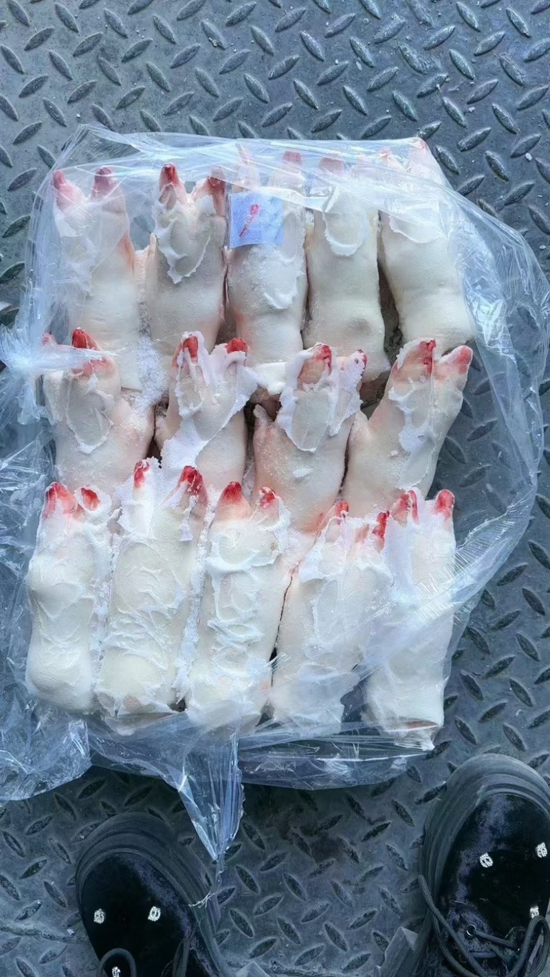 肥猪猪蹄猪手一级带劲猪蹄干净无毛颜色白净可长期供应