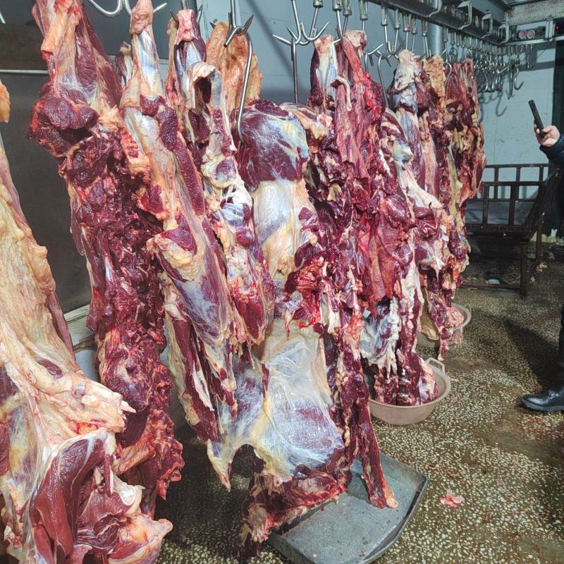 内蒙古牛肉散养优质黄标草饲牛肉后腿肉草饲放养生鲜年货