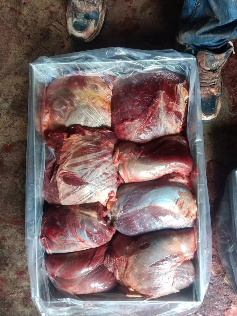 内蒙古牛肉散养优质黄标草饲牛肉后腿肉草饲放养生鲜年货