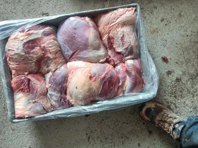 内蒙古牛肉散养优质黄标草饲牛肉后腿肉草饲放养生鲜年货