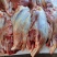 内蒙古牛肉散养优质黄标草饲牛肉后腿肉草饲放养生鲜年货