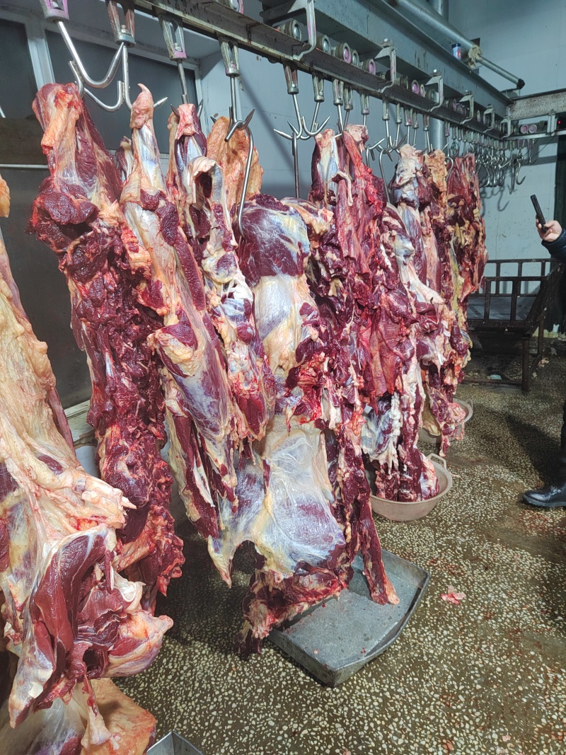 内蒙古牛肉散养优质黄标草饲牛肉后腿肉草饲放养生鲜年货