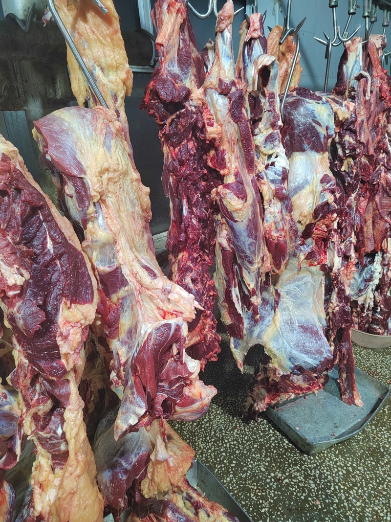 内蒙古牛肉散养优质黄标草饲牛肉后腿肉草饲放养生鲜年货