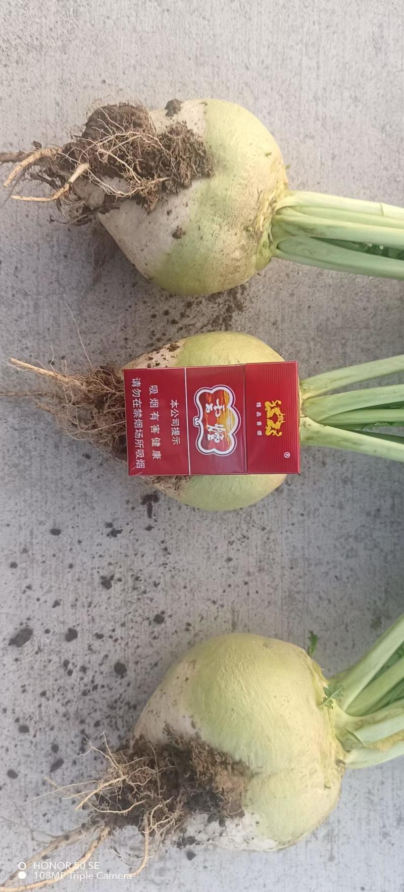 十万斤芥菜开售