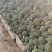 河北邯郸西蓝花产地发货一手货源批发品质保证价格美丽