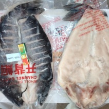 旋转无刺烤鱼烤鱼连锁专用烤鱼斑点叉尾鮰鱼清江鱼