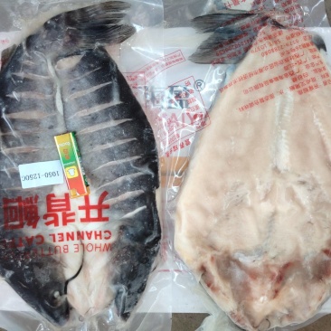 旋转无刺烤鱼烤鱼连锁专用烤鱼斑点叉尾鮰鱼清江鱼