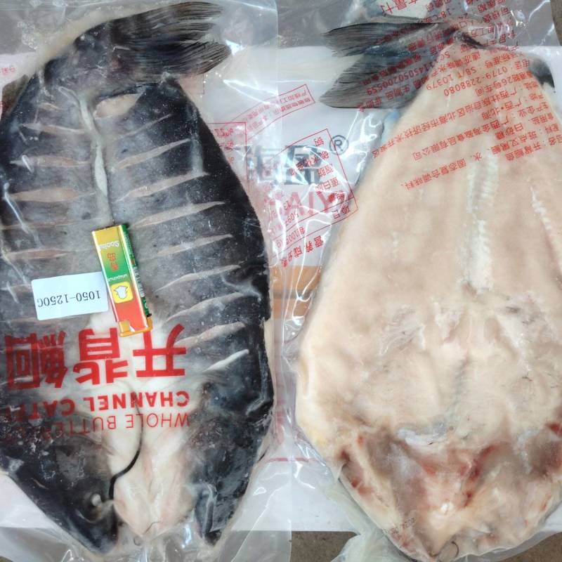 旋转无刺烤鱼烤鱼连锁专用烤鱼斑点叉尾鮰鱼清江鱼