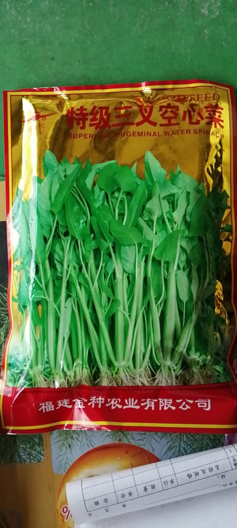 福州三叉空心菜新品种叶片大梗粗淡青色拫系发达产量高