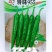 特味955辣椒种子，皮软肉嫩，极早熟