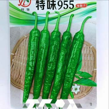 特味955辣椒种子，皮软肉嫩，极早熟