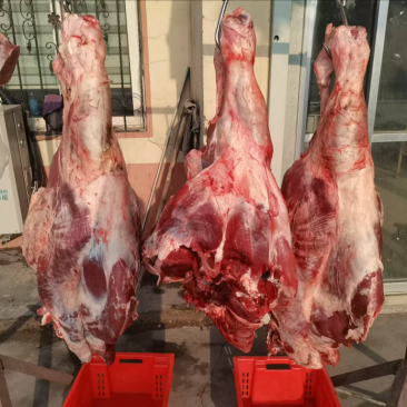 【实力推荐】纯黄公牛牛腿肉可视频看货对接全国品质保证