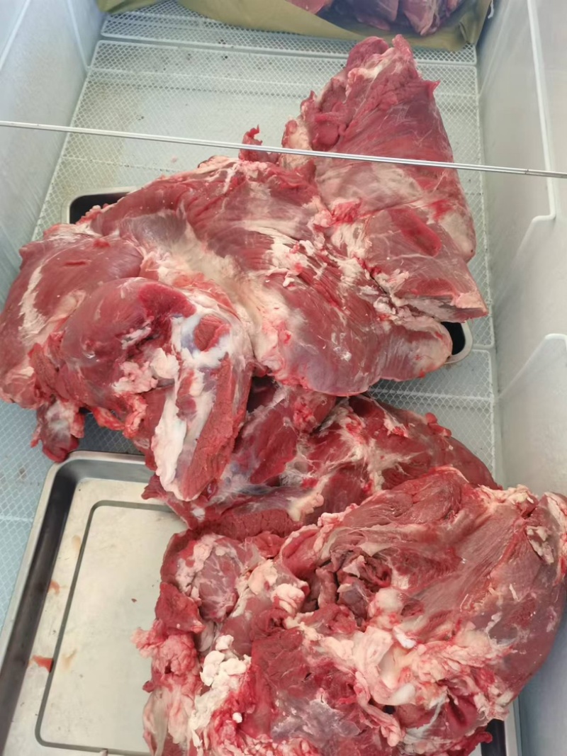 【实力推荐】纯黄公牛牛腿肉可视频看货对接全国品质保证