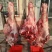 【实力推荐】纯黄公牛牛腿肉可视频看货对接全国品质保证